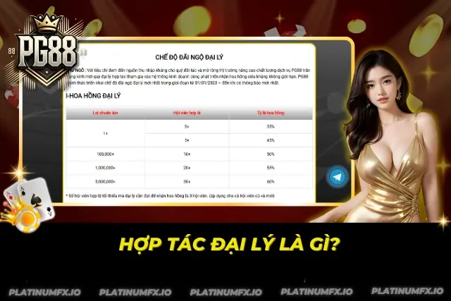 Tìm hiểu đôi nét khái niệm về việc hợp tác đại lý